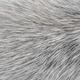 This mouse’s grizzled fur might someday help us explain why people can develop a rare condition called vitiligo.